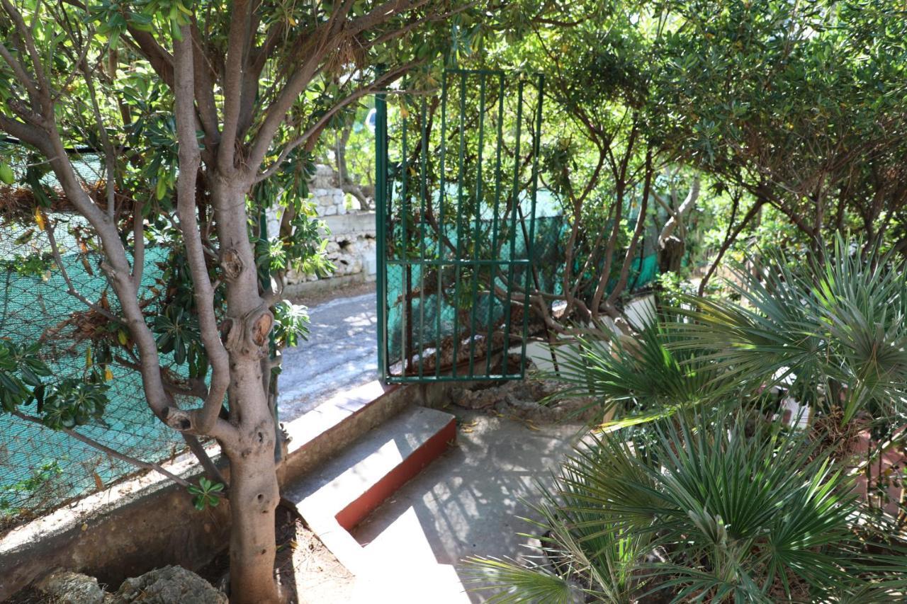 Casa Elvira Terrasini Exterior foto