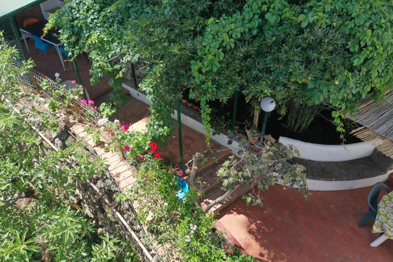 Casa Elvira Terrasini Exterior foto